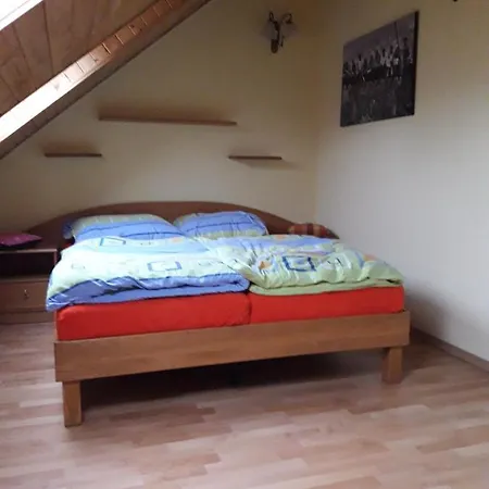 Apartman U Zoo